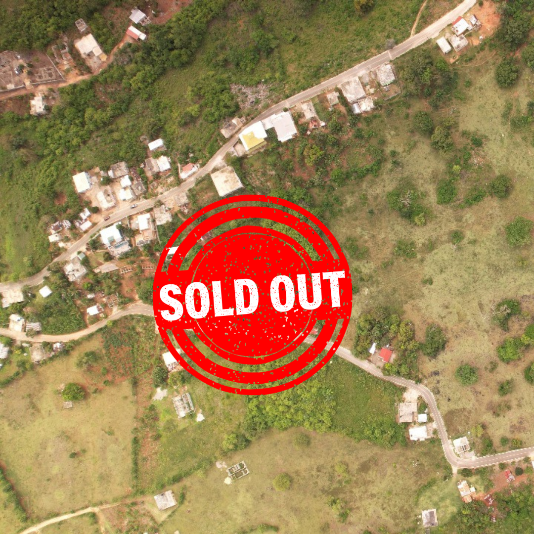 Land for Sale - Palmarito